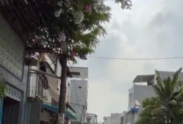 KÈO THƠM CHO ĐẦU TƯ, NHÀ 3T HXH Đ.LÃ XUÂN OAI, Q9: DT 96M2, 5PN, 5 TỶ